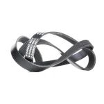 RIDEX 305P0082 V-ribbed belt