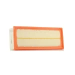 PURFLUX A1160 Air Filter