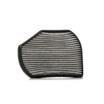 RIDEX 424I0247 Pollen filter